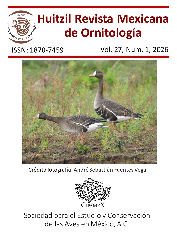 					Ver Vol. 27 Núm. 1 (2026): (enero-junio)
				